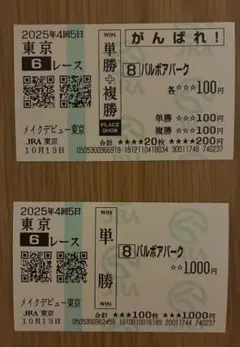 バルボアパーク メイクデビュー　現地応援馬券