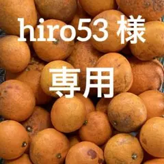 hiro53 様専用　清見オレンジ　訳ありすぎ5㎏