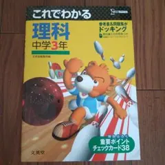 むーちょ様 リクエスト 2点 まとめ商品