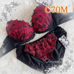 【C70】ブラショーツセット❤️ブラックレース レッドフラワー♪103