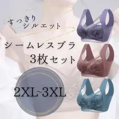 美胸 3枚セット 2XL/3XL 胸を小さく 着痩せ ナイトブラ シームレス