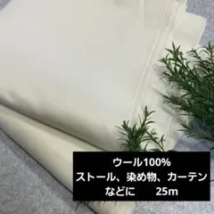 Item thumbnail for item 1cf2f11f-01ca-4bab-b72a-9b6d20bfe5ef