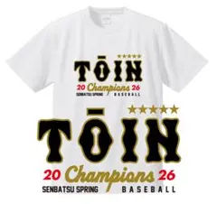 Item thumbnail for item 1b4bb3e8-ea63-42c0-8617-e067637b3156