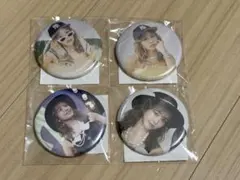 FRUITS ZIPPE仲川瑠夏 生誕すきくじ 缶バッジ