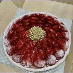 シューズ スニーカー