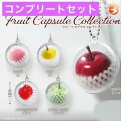 フルーツカプセル　コレクション　全5種セット　コンプリート　ガチャ　果物