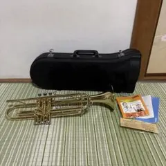 2025年最新】ジュピタートランペットの人気アイテム - メルカリ