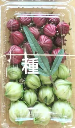 ワンコ好き様 リクエスト 10点 まとめ商品