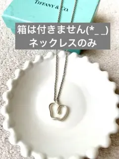ティファニー Tiffany & Co. Apple ネックレスのサムネイル