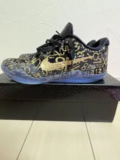 Nike Kobe 11 Protro Mamba Day