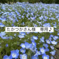 たかつかさん様　専用ページ♪