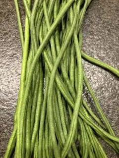 茨城県産採れたて　豇豆　三尺ささげ　約10kg 茨城県産採れたて 豇豆 三尺ささげ コンパクト箱 - メルカリ