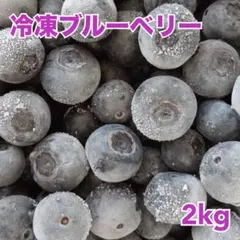 冷凍ブルーベリー 農薬不使用　2kg ④のサムネイル