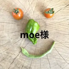 moe様 リクエスト 5点 まとめ商品