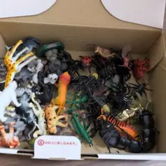 動物　昆虫フィギュアまとめ売りセット