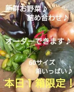 伊東陶山作 京薩摩 草花詰模様 紅茶器 カップ&ソーサー 二客　M522　DC1 伊東陶山作 京薩摩 草花詰模様 紅茶器 カップ&ソーサー 二客