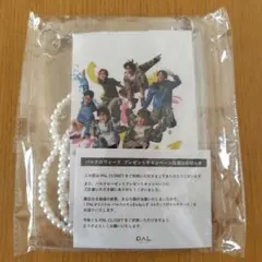 PAL CLOSET パルクロ　すっきゃねんず　ストラップ付きマルチケース