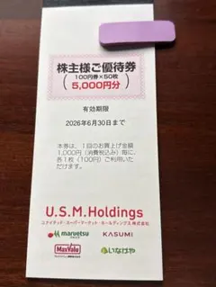 10000円分【迅速・匿名・追跡配送】　ユナイテッドスーパー　株主優待