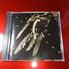 BAD RELIGION GENERATOR