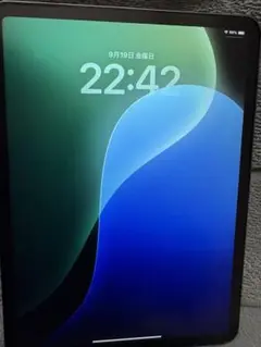 Apple iPad Pro (11インチ) 64GB スペースグレイ　第1世代
