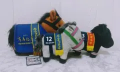 Item thumbnail for item 904365de-4001-42e6-895c-78b898807477