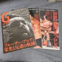 2026年最新】gスピリッツ プロレスの人気アイテム - メルカリ