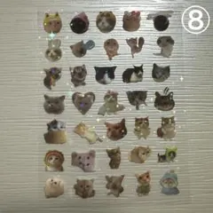 ⑧猫のホログラム透明ステッカーセット シール ネイルシール