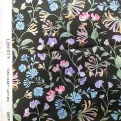 Liberty 〈タナローン〉アサカ・ドリームブラック系約3m