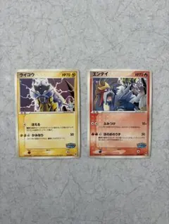 エンテイ ポケパークプレミアムファイル 001/009 - メルカリ