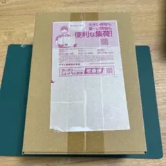 ポケモンカード タツベイ 色違い PSA10 アルセウス光臨 1edition