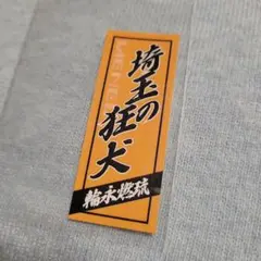 2026年最新】Lienel ステッカーの人気アイテム - メルカリ