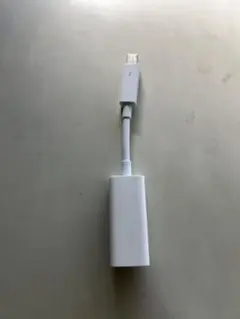 Apple Thunderbolt 変換コネクタ A1433