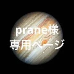 prane様 専用ページ