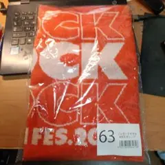 ※未使用　ROCK IN JAPAN FESTIVAL2025　タオル