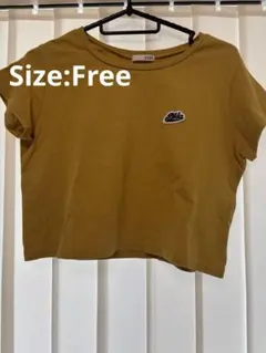 値下げ！GYDA クロップド丈 Tシャツ マスタードイエロー