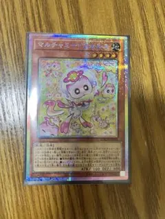 マルチャミーニャルスセット