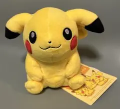 PokemonCenter ポケドール ピカチュウドール ぬいぐるみ 美品 最安