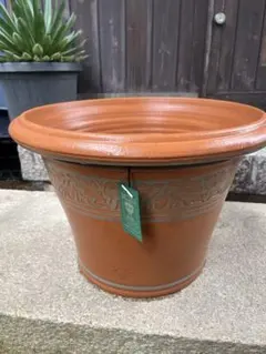 2025年最新】ウィッチフォードの人気アイテム - メルカリ