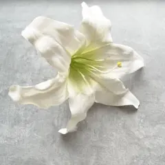 Item thumbnail for item 87ae7b4d-d615-4d72-bf55-e32bc905e76a