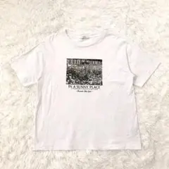 アースミュージックアンドエコロジー　半袖Tシャツ　クルーネック　綿100% 白