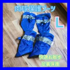 Item thumbnail for item 58e26887-c9c5-4298-b661-a3e08ef00d40