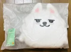 TXT PPULBATU スビン ヨンモン クロスバッグ - メルカリ