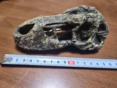 Item thumbnail for item d04736c4-f43a-4a5e-bf48-f647c525bd5d