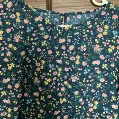 Item thumbnail for item 76114cfe-01bc-4e11-abd5-40fdb0811952