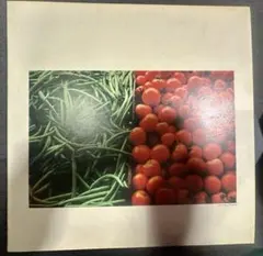 Item thumbnail for item b0e489e5-f91f-4eb1-a7a4-ff34855b4237