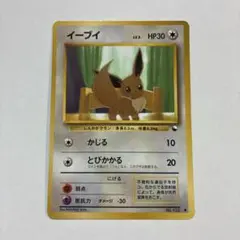 ポケモンカード イーブイ 旧裏 拡張シート第1弾(青版)