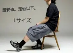 ALOUND VENTILATION NYLON SHORTS L グレー