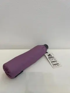 Item thumbnail for item dd03ae4a-4f5c-4ced-b480-1a3501b4da41