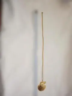 Item thumbnail for item 3034dee8-4e8e-4087-ac0d-73c2280451e4