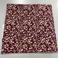 Item thumbnail for item ed767bbe-586e-467f-892e-26f99f288a68